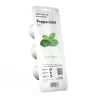 Vidinis žolelių vazonas EMSA Click & Grow Peppermint