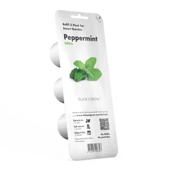 Vidinis žolelių vazonas EMSA Click & Grow Peppermint