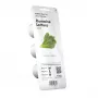 Sodinimo sistema EMSA Click & Grow Lettuce