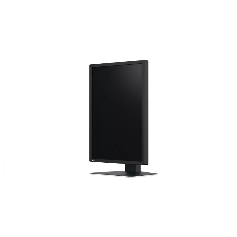 EIZO RadiForce MX217-SB monitor kompiuterinis 53,3 cm (21 col.) 1200 x 1600 pikselių UXGA LCD juodas