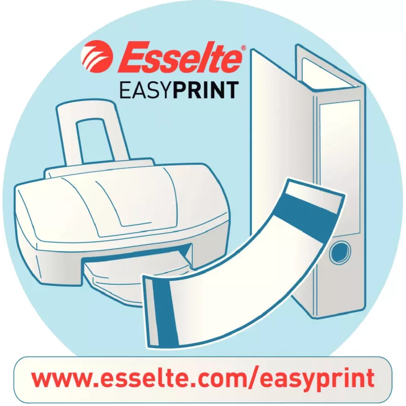 Esselte 20822 lipdukai ant nugarėlės plačiems segtuvams, 10 lapų, 4 lipdukai lape