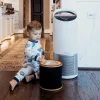 Leitz Kvapų ir LOJ 3 viename HEPA filtro būgnas, skirtas TruSens Z-3000 / Z-3500 dideliam oro valytuvui
