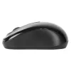 Targus AMW060EU pelė kelioninė Ambidextrous RF belaidė optinė 1600 DPI