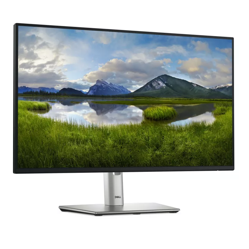 DELL Pro Plus P2425H 23,8 colių Full HD LCD monitorius juodas