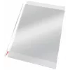 Esselte Pocket Heavy Duty 105my A4, 210 x 297 mm (A4), skaidrus, polipropilenas (PP), viršutinis, 0.105 mm, 230 mm