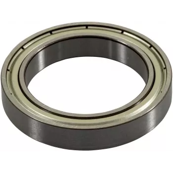 Ricoh G0524618 guolis daugiafunkciniams įrenginiams, 1 vnt.
