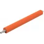Ricoh AE010059 ritinėlis, metalinis, oranžinis, 1 vnt.
