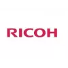 Ricoh 410133 segtuvų kasetė