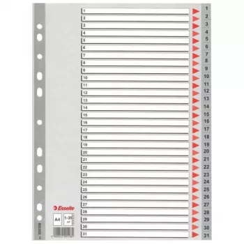 Esselte Index 1-31 PP A4 pilka, skaitmeniniai skirtukai, polipropilenas, A4, 225 mm, 297 mm, 1 vnt.