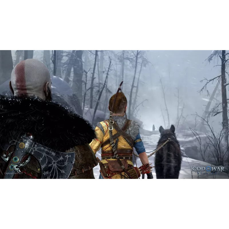 Sony God of War Ragnarök standartinis leidimas PlayStation 4