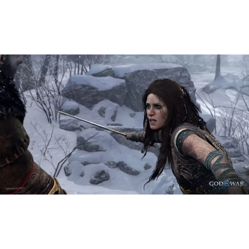 Sony God of War Ragnarök standartinis leidimas PlayStation 4