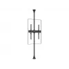 Fiksuota rankena plokščiaekraniams laikikliams Multibrackets M Pro Series 600 mm, plienas, juoda, 2 vnt.