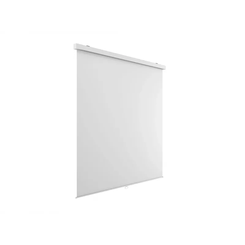 Multibrackets M 1:1 rankinis projektoriaus ekranas 240x240, 135 colių White Edition