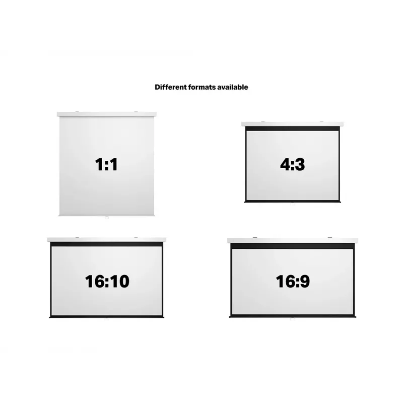 Multibrackets M 1:1 rankinis projektoriaus ekranas 240x240, 135 colių White Edition