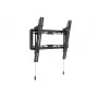Multibrackets M Universal Wallmount Tilt Medium 50 kg talpa 32–65 colių ekranams