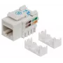 Intellinet Keystone Jack, Cat6, UTP, Punch-down, Baltas, Plokščias
