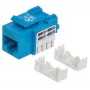 Intellinet Keystone Jack, Cat6, UTP, Punch-down, mėlynas, plokščias, RJ-45, moteriška jungtis, 22/26 AWG