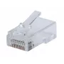 Intellinet 791090 RJ45 kištukas, permatomas