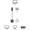 Techly ICOC DSP-C12-030P vaizdo kabelio adapteris 3 m DisplayPort DVI-D Juodas