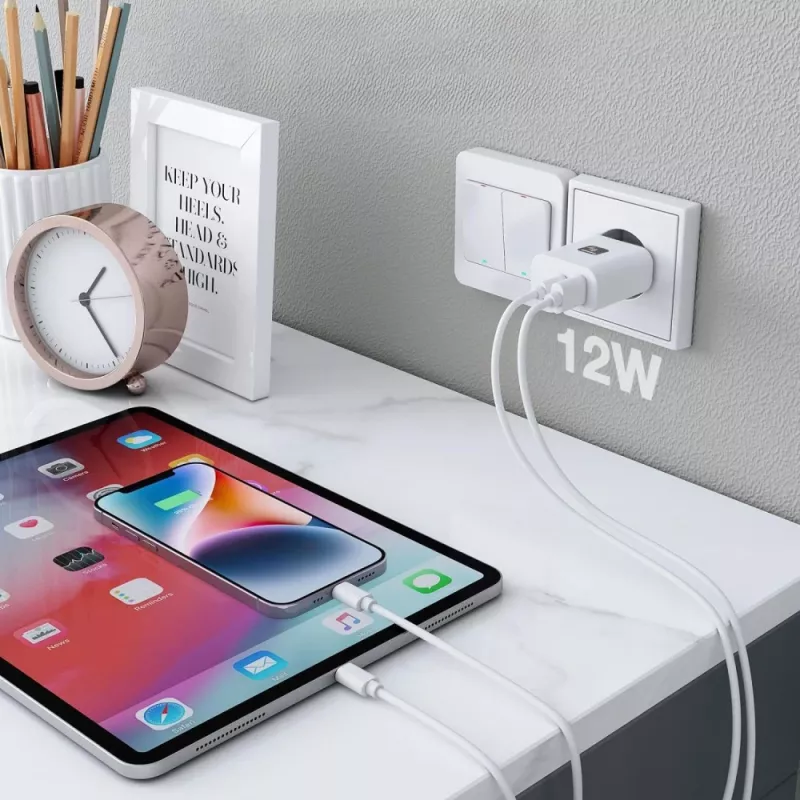 Techly IPW-USB-12W2A USB įkroviklis ausinėms, nešiojamai kolonėlei, power bank, išmaniajam telefonui, planšetei, baltas, AC vidaus