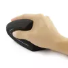 Techly IM 1200-VM-B pelė medicininė, dešinei rankai, belaidė RF, optinė, 1600 DPI