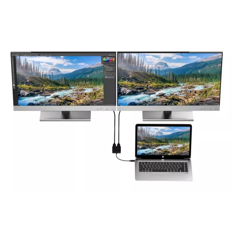 Techly IADAP USBC-HDMI2T4K vaizdo kabelio adapteris 0.15 m USB Type-C 2 x HDMI Juoda