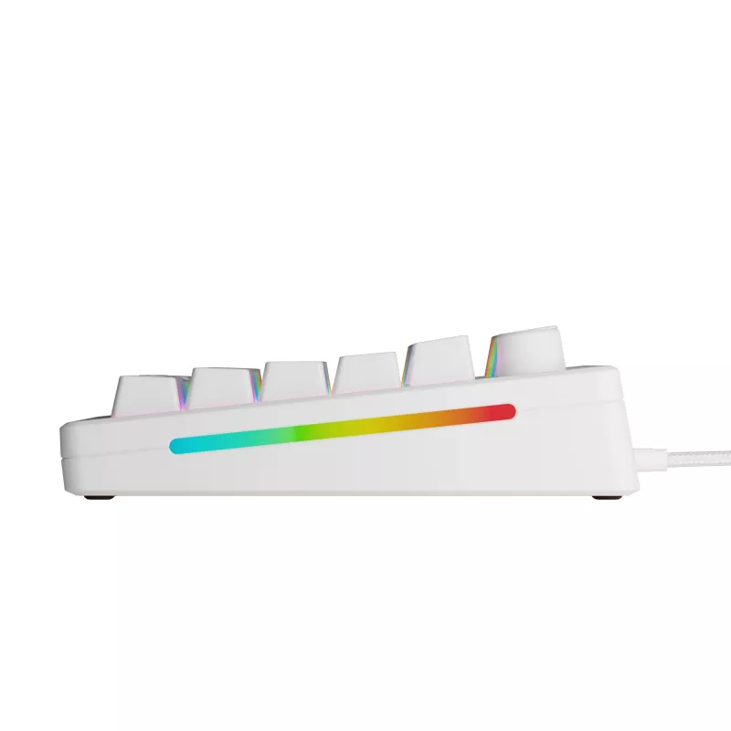 Glorious Gaming GMMK 3 HE 75% Prebuilt Wired White - FR, laidinis, USB, mechaninis, AZERTY, RGB LED, baltas