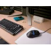 Glorious Gaming Model D3 Wired žaidimų pelė - itin lengva 57g, optiniai jungikliai 130M paspaudimų, 30K DPI BAMF 3.0 jutiklis, 750 IPS sekimas, 50G pagreitis, tinka visiems laikymo būdams - juoda