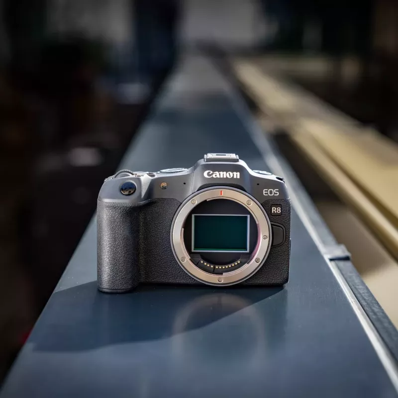 Canon EOS R8 + RF 24-105mm F4-7.1 IS STM veidrodinis fotoaparatas 24.2 MP CMOS 6000 x 4000 pikselių Juoda