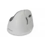 BakkerElkhuizen Evoluent 4 Bluetooth White, dešinei rankai, vertikalus dizainas, lazerinis, Bluetooth, 2600 DPI, baltas