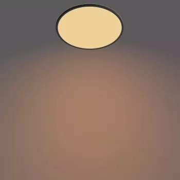 Philips Functional Super Slim 22 W LED lubinis šviestuvas juodas apvalus