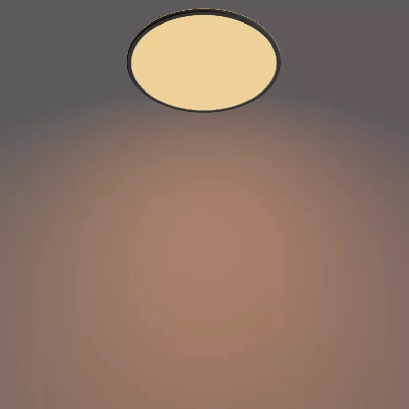 Philips Functional Super Slim 22 W LED lubinis šviestuvas juodas apvalus