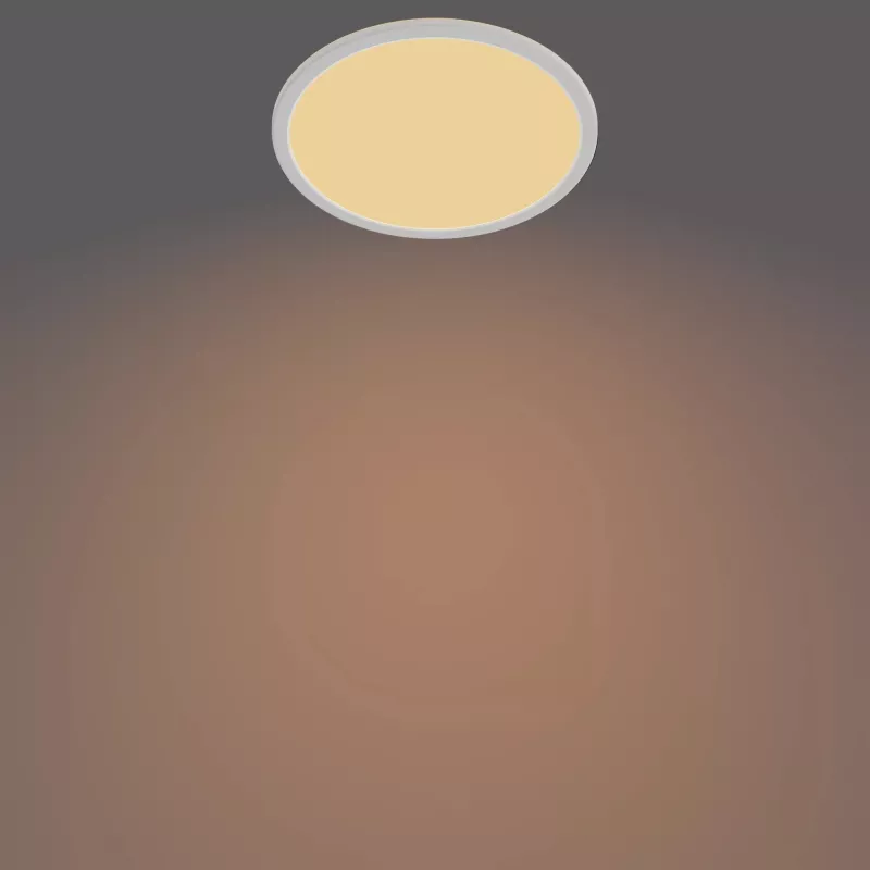 Philips Functional Super Slim 15 W Baltas Apvalus LED lubinis šviestuvas vonios kambariui