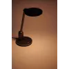 Philips Functional Einstein stalinių lempų sidabrinė