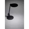 Philips Functional Einstein stalinių lempų sidabrinė