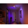 Philips Hue White and colour ambience Centris 2-spot lubų šviestuvas