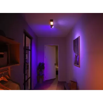 Philips Hue White and colour ambience Centris 2-spot lubų šviestuvas