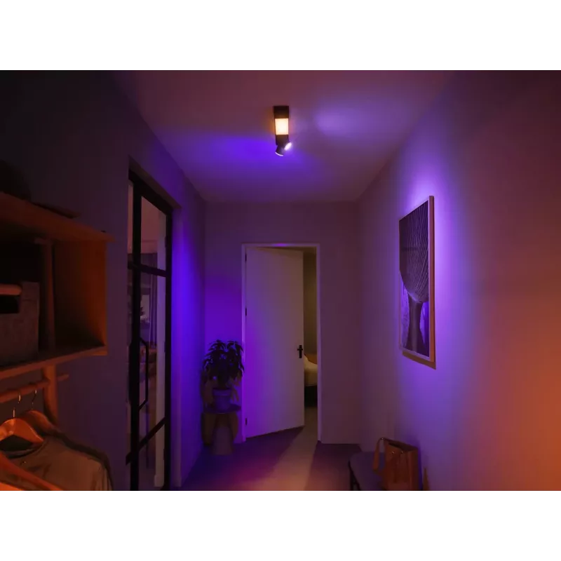 Philips Hue White and colour ambience Centris 2-spot lubų šviestuvas