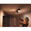 Philips Hue White and colour ambience Centris 2-spot lubų šviestuvas