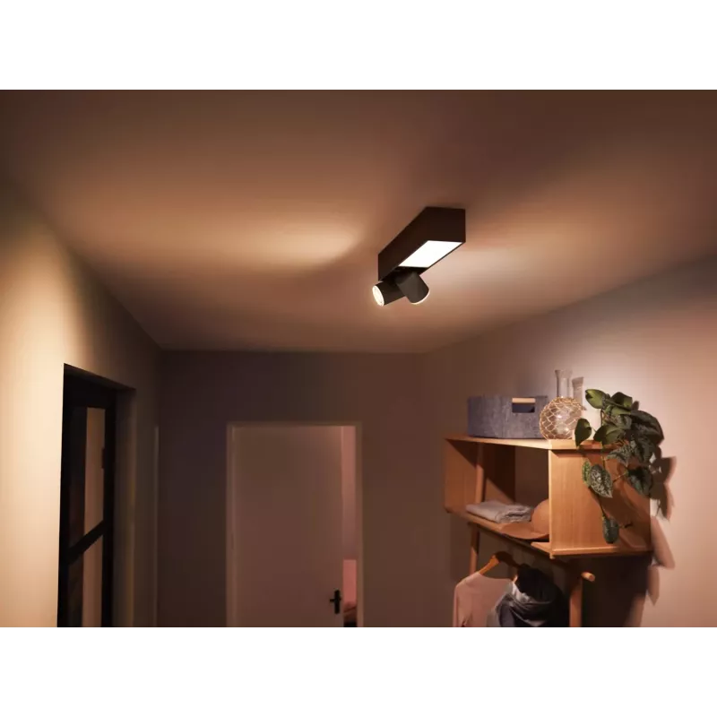 Philips Hue White and colour ambience Centris 2-spot lubų šviestuvas
