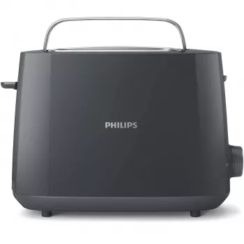 Philips Daily Collection HD2581/10 skrudintuvas 2 griežinėliai 900 W Pilka