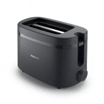 Philips 1000 serijos HD2510/90 skrudintuvas 2 griežinėliai 650 W