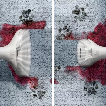 Philips 3000 serijos XW3193/11 dulkių siurblys cilindrinis šlapias 400 W be maišelio