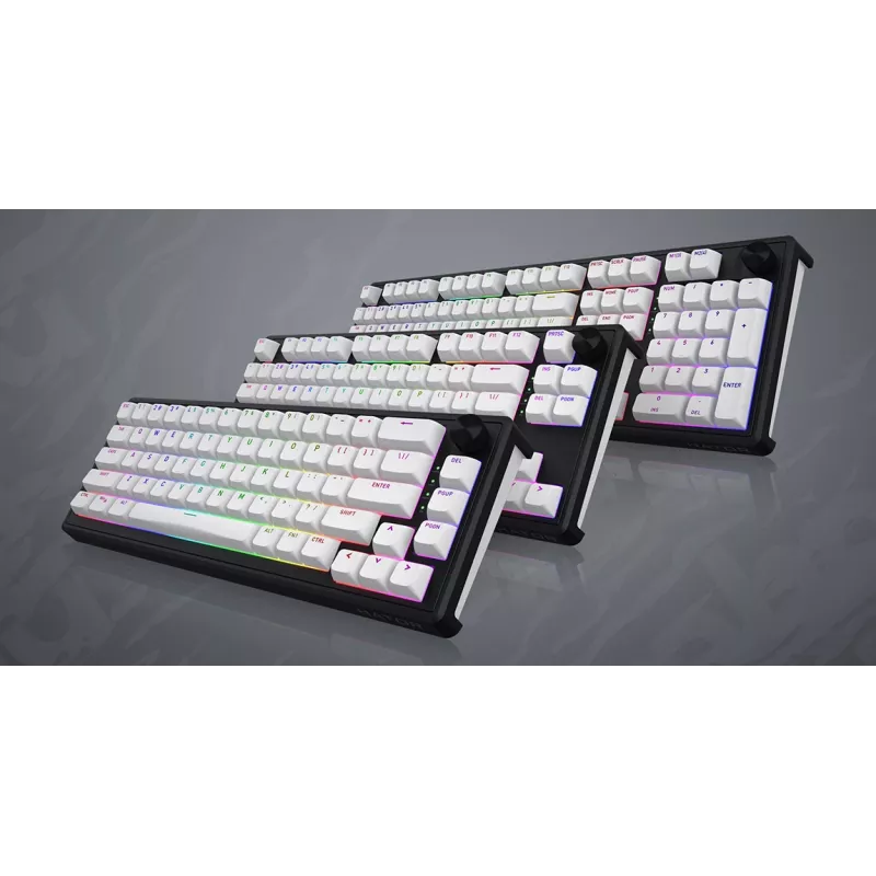 HATOR Skyfall Wireless 80 klaviatūra Gaming USB + RF belaidis + Bluetooth QWERTY JAV anglų Juoda, Balta