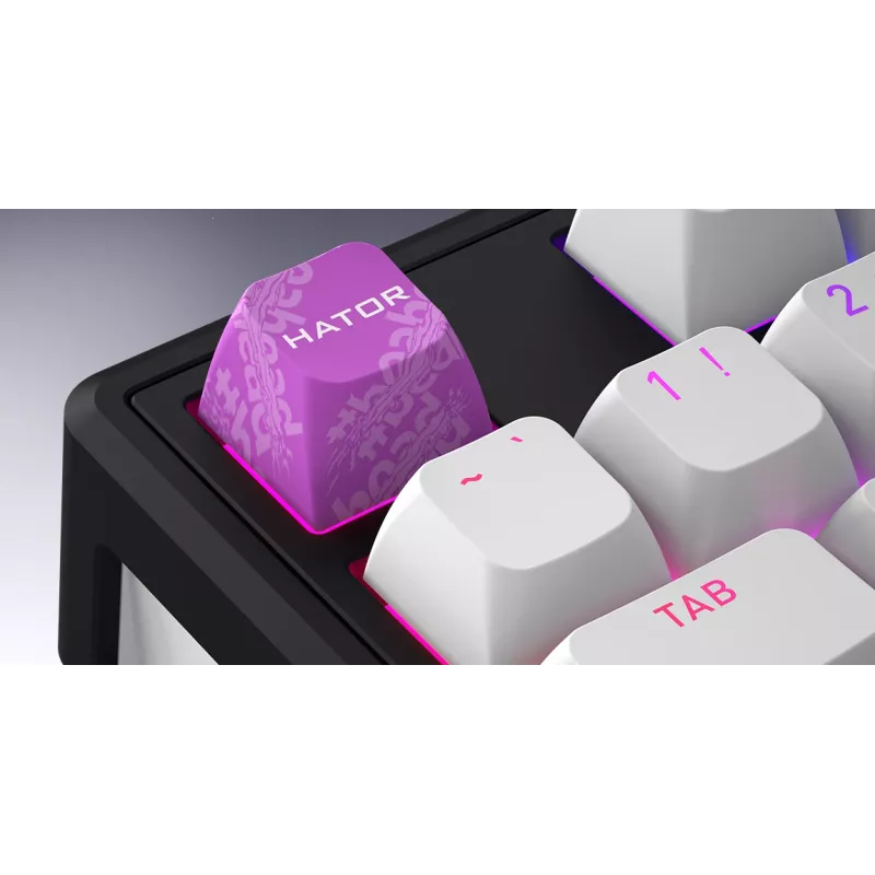 HATOR Skyfall Wireless 80 klaviatūra Gaming USB + RF belaidis + Bluetooth QWERTY JAV anglų Juoda, Balta