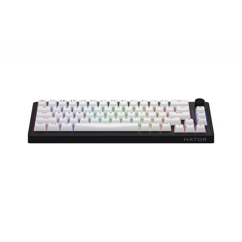 HATOR Skyfall Wireless 65 klaviatūra, Gaming, USB + RF Wireless + Bluetooth, QWERTY JAV anglų, Juoda, Balta