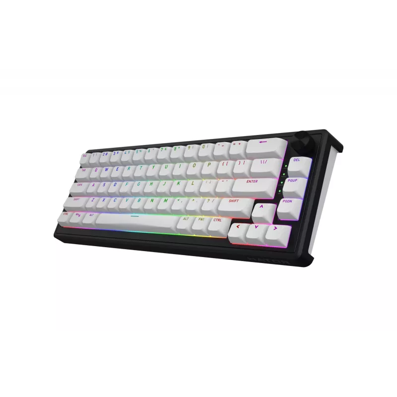 HATOR Skyfall Wireless 65 klaviatūra, Gaming, USB + RF Wireless + Bluetooth, QWERTY JAV anglų, Juoda, Balta
