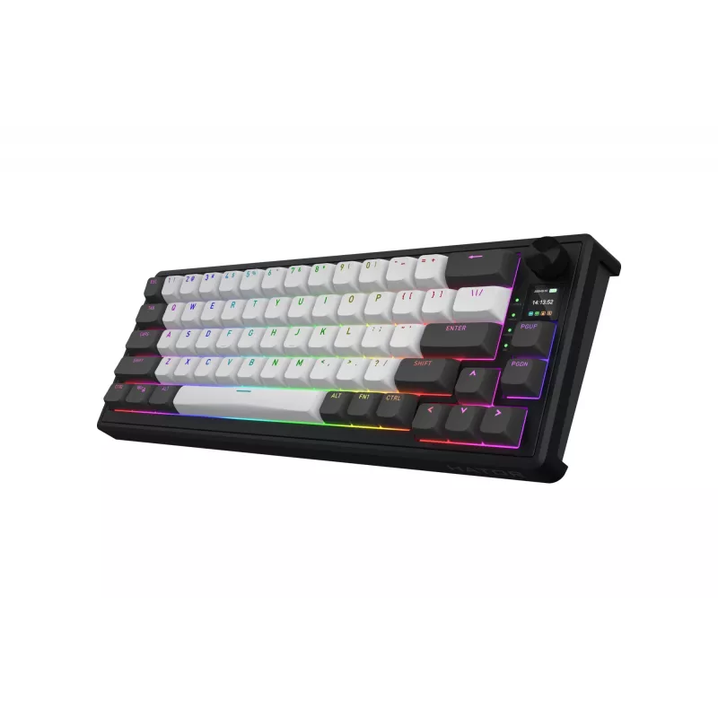 HATOR Skyfall Pro Wireless 65 klaviatūra žaidimams USB + RF belaidis + Bluetooth QWERTY JAV anglų juoda, pilka