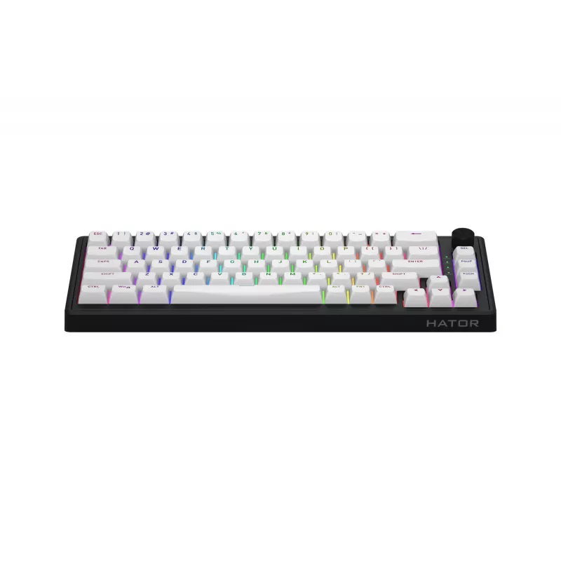 HATOR Skyfall 65 MAG ULTRA 8K klaviatūra Gaming USB QWERTY US English Juoda, Balta