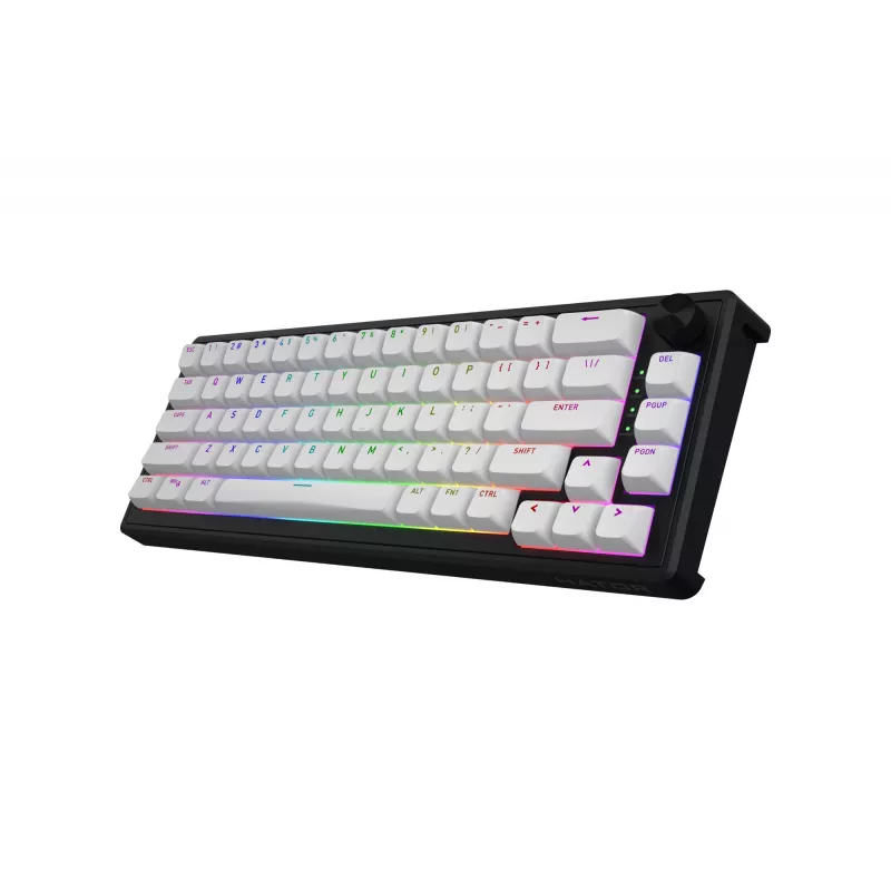 HATOR Skyfall 65 MAG ULTRA 8K klaviatūra Gaming USB QWERTY US English Juoda, Balta